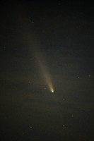 2024-10-15 - DSC_1420_edited-2 - Anti Tail