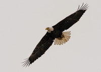 DSC_2863_edited