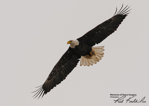 DSC_2863_edited