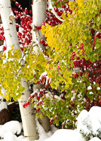 DSC_6796_edited