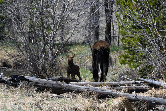 DSC_6624_edited