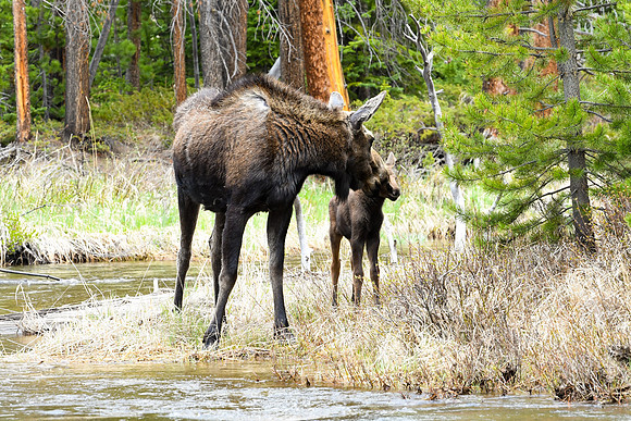 DSC_6838_edited