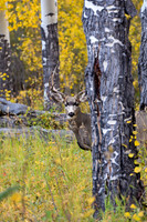 DSC_0047_edited