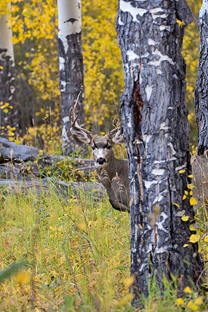 DSC_0047_edited