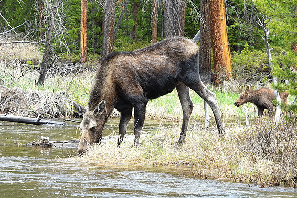 DSC_6789_edited
