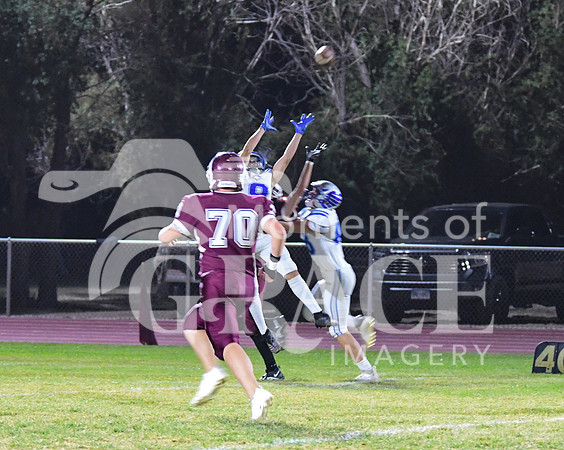 DSC_7627_edited_edited