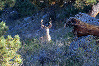 DSC_4855_edited