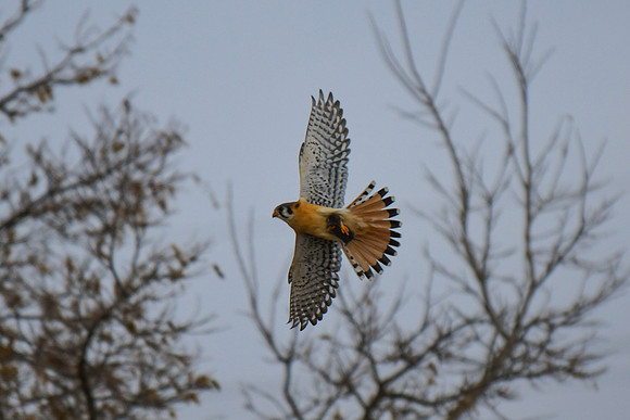 DSC_4275_edited