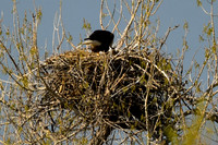 DSC_5841_edited-1