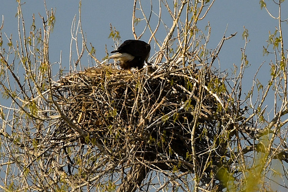 DSC_5841_edited-1