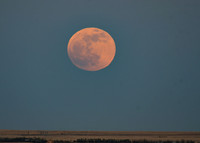DSC_0439_edited