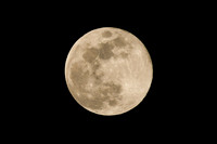 DSC_4780_edited
