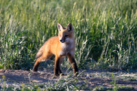 DSC_5189_edited