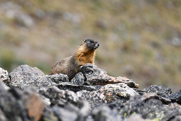 DSC_5927_edited