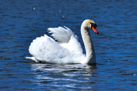 DSC_0836_edited