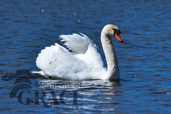 DSC_0836_edited