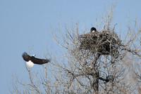 DSC_3565_edited