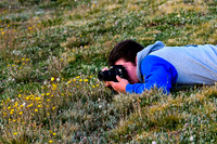 DSC_0224_edited-close up - Oh wait - He's getting creative.