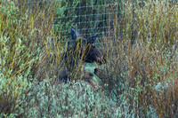 DSC_8912_edited