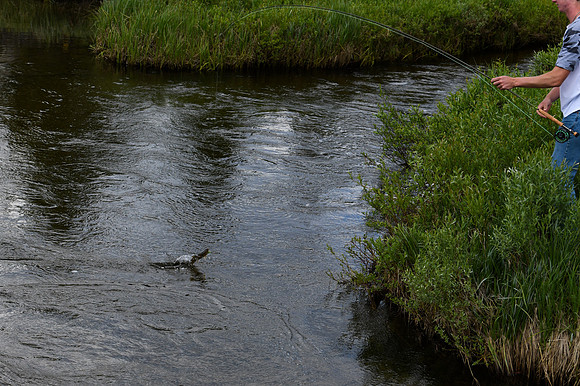 DSC_2858_edited