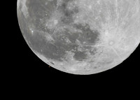 DSC_4394_edited-5x7