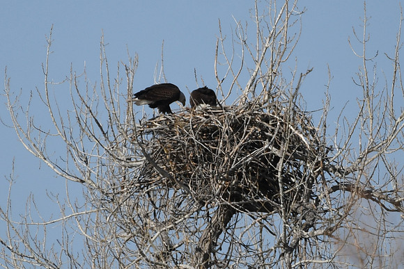 DSC_3597_edited