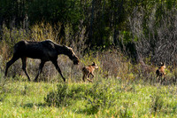 DSC_9137_edited