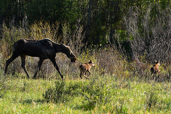 DSC_9137_edited