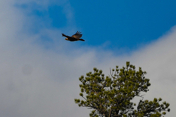 DSC_5648_edited-1