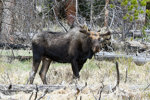 DSC_6679_edited