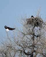 DSC_3565_edited-8x10