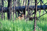 DSC_1685_edited