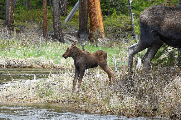DSC_6887_edited