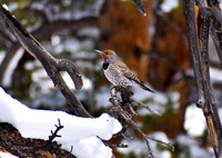 DSC_0474_edited
