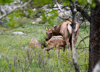 DSC_5300_edited
