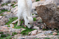 DSC_4308_edited