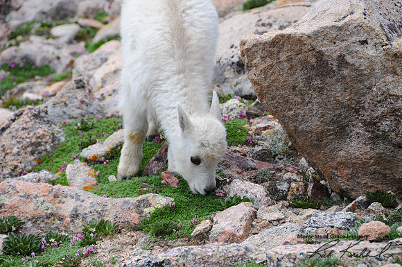 DSC_4308_edited
