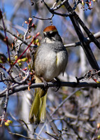 DSC_0012_edited