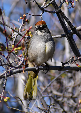 DSC_0012_edited