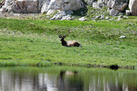 DSC_1581_edited