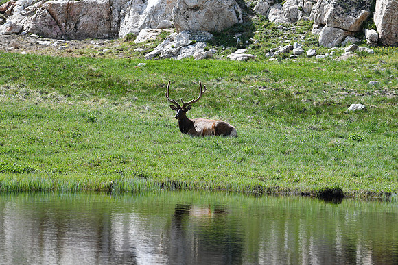 DSC_1581_edited