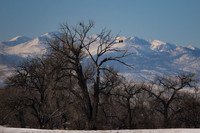 DSC_1698_edited