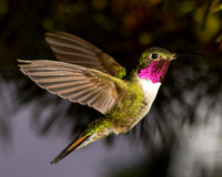 DSC_0656-edited