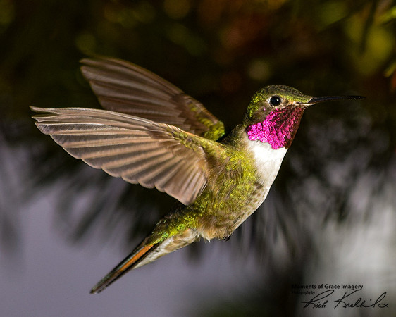 DSC_0656-edited