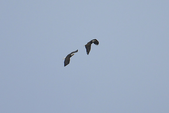 DSC_4046_edited