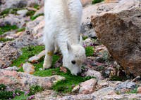 DSC_4308_edited_edited-5x7