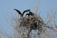 DSC_3571_edited