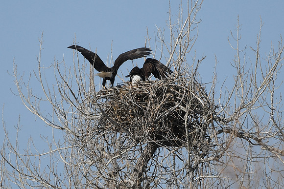 DSC_3571_edited