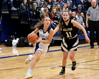 DSC_2122_edited - Angela Friedman - DCA vs Gilpin