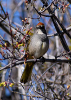 DSC_0007_edited